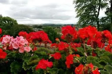 The Mount Hotel Malton